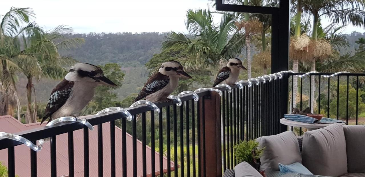 Appartamento Tambo Tranquility Mount Tamborine Esterno foto